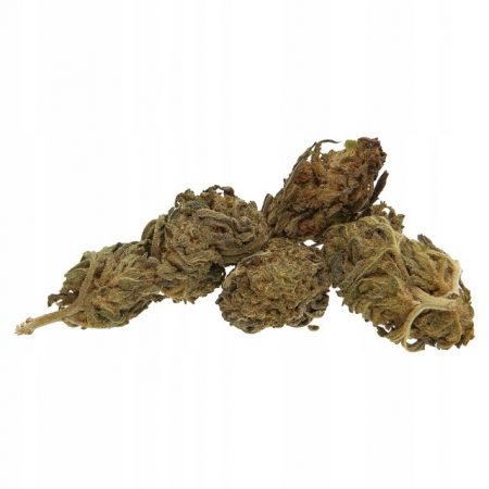 Susz-konopny-Cannabis-CBD-Cheese-1g-Rodzaj-susz-konopny.jpg